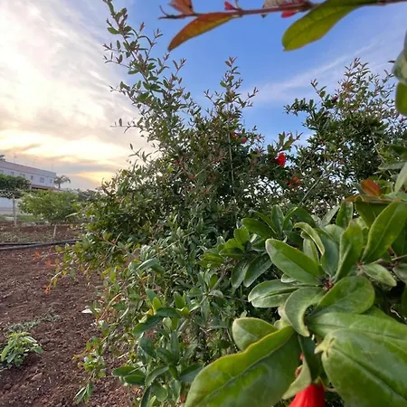 Bed & Breakfast Borraco San Pietro in Bevagna